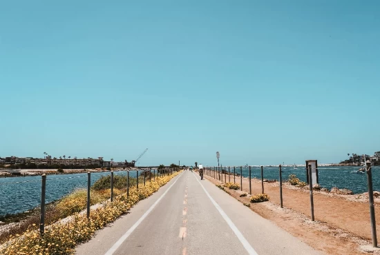 Beyond Marina del Rey: Road Trips to Discover from the Scenic Coastal Haven
